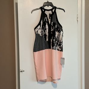 Adelyn Rae V-Neck Color Block Dress. NWT.